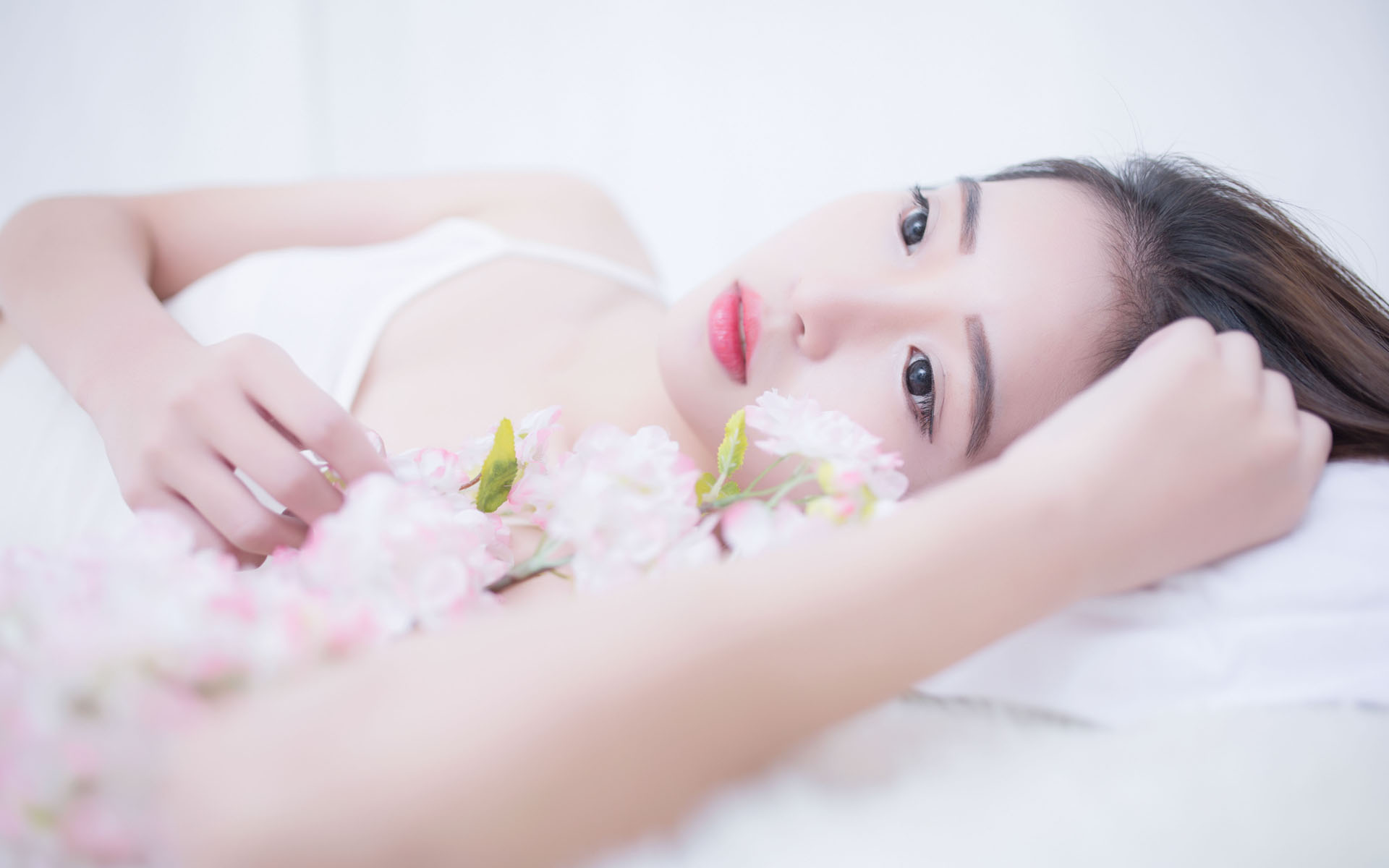 宁夏供港蔬菜实现自营出口“零”突破 告别“曲线出口”模式